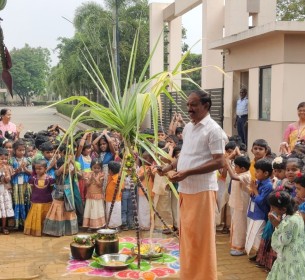 PONGAL CELEBRATION